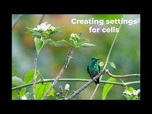 Creating settings on the Aurora
