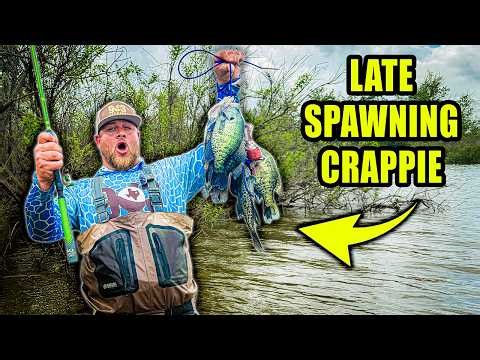 SPRINGTIME SPAWNING CRAPPIE IN 1 FOOT OF WATER!! CRAPPIE FISHING 2026!!