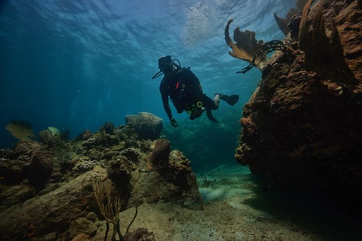 Refresh Your Scuba Skills With PADI ReActivate