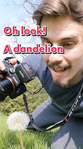 My version of that viral video 😅 #photography #macrophotography #naturephotography