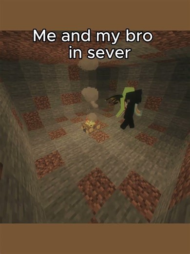 Funny Minecraft Moments With My Bro 😂 | Crazy Server Fun & Trolls