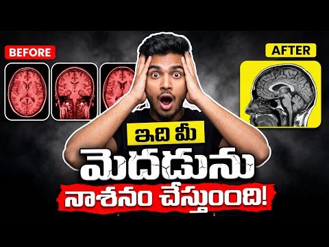 మీ మెదడుని నాశనం చేస్తున్న 5 అలవాట్లు! (వెంటనే ఆపేయండి) 🛑 Stop These 5 Habits Immediately!
