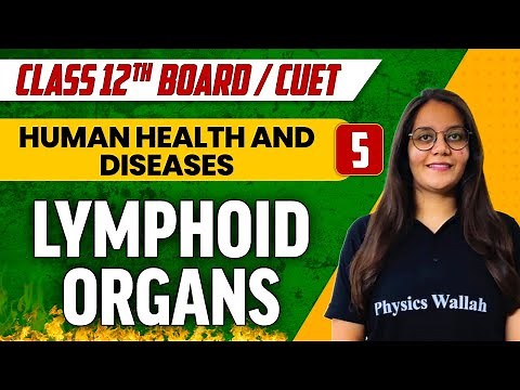 Human Health & Diseases 05 | Lymphoid Organs | Class 12th/CUET