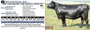 Lot 3: R&R Land and Cattle - Elite Angus Genetics Showcase Sale