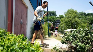 Do these 3 things in the fall for the best lawn next spring