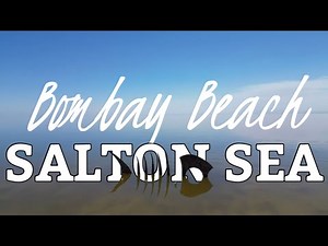 The Salton Sea at Bombay Beach | California | June 2025