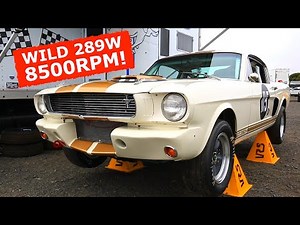 SCREAMING 289 ONBOARD! - Wild GT350 Shelby Mustang Racer