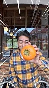 ผลไม้ที่รอมาทั้งปี! ใครมาญี่ปุ่นช่วงปลายปีห้ามพลาดกินลูกพลับ! ลูกพลับยักษ์ทตโตะริหวานมาก อร่อยสุดๆ