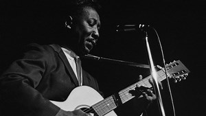 Muddy Waters: Life After Chess
