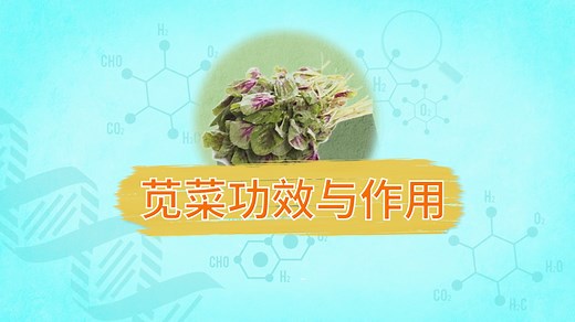 苋菜的功效与作用