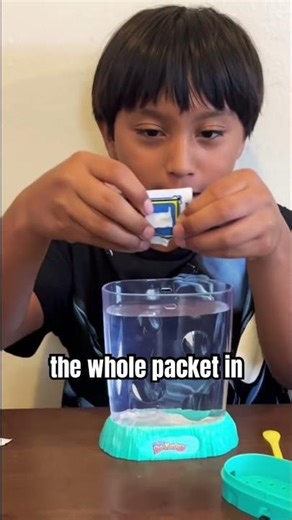 Sea-monkeys Hatching Day 1 #seamonkeys #hatching #brineshrimp #educationalvideos #stem #hatchlings