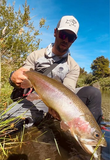 Ultimate Guide to Fly Fishing in New Zealand