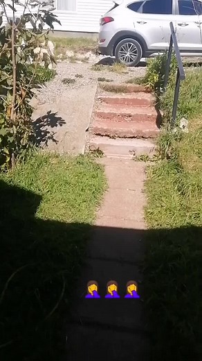 #voiceeffects #perritoivan