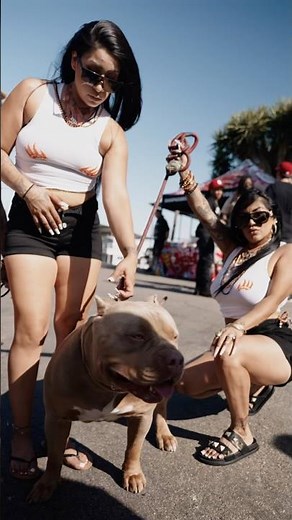 Wet T-shirt contest, bull riding, water guns, food and more at the Dirty Delta Takeover