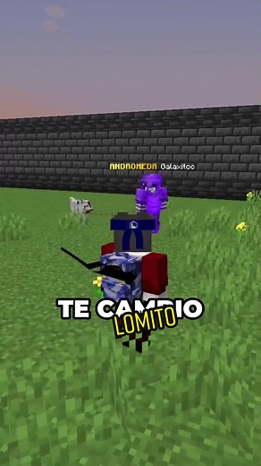 Intercambio de Casa por Perro en Minecraft