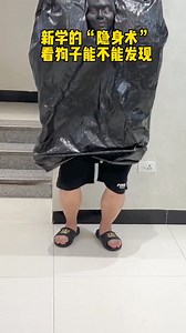 53K views · 898 reactions | The newly learned invisibility technique, let's see if the dog can detect me. #funny #smartdog #cutedogs #dog #puppy #pet #reelsvideoシ #cute #doglover #funnyreels #viralreelsfb #dogsofinstagram #fun #funnyvideo #reelsoftheday #funnymeme | Annie | Facebook