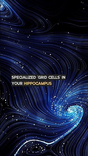 Your Brain Has a Built-In GPS 🧭 Discover How It Navigates 🌍 mind carries its own