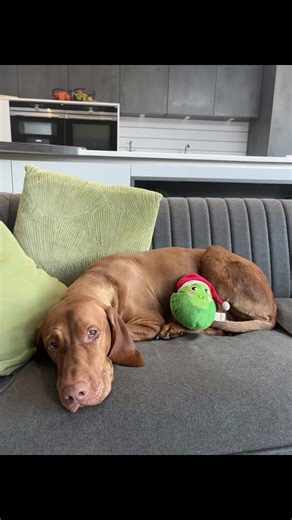 Amy (@amylindsay.15)’s videos with Manhattan Serenade - Tommy Dorsey and His Orchestra & Jo Stafford