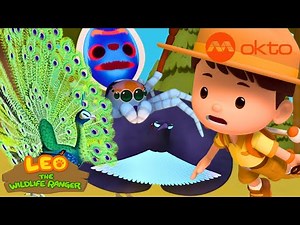 SUPERB BIRD Dance RESCUE Adventure 🦜💃🌿 | Leo Compilation | ‪@mediacorpokto‬