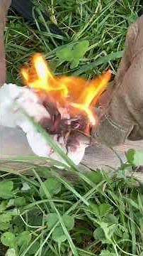 CS Pendelton Mini Hunter 3V