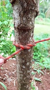 quick bowline knot #knots #bowlineknot #bushcrafts #UKOutdoors #diyprojects #fbreels | Knotiq