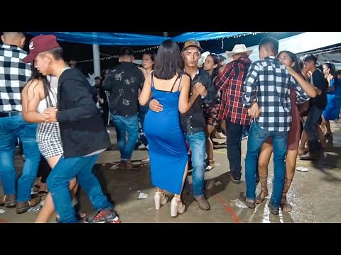 Halcón Huasteco tocando en vivo María Chuchena