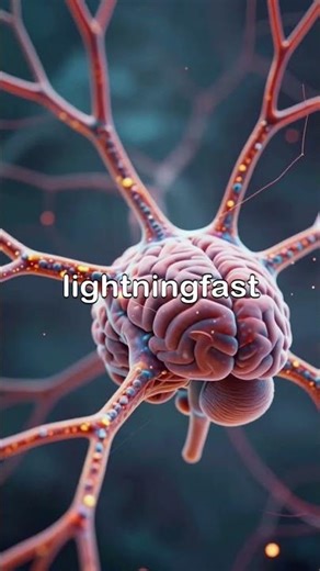 How Does the Human Brain Control the Entire Body? | Brain & Nervous System Explained