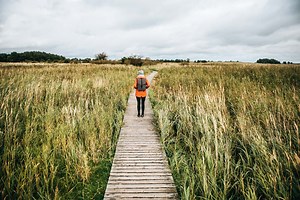 Baltic Sea Travel Guide: Our Travel Tips for Fischland-Darß-Zingst - Sommertage