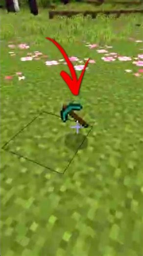 MOST IMPORTANT TOOL IN MINECRAFT 💯 #minecraft #survival #short