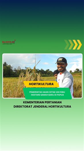 Pemerintah akan cetak 100 ribu hektare sawah baru di Papua Kementerian Pertanian Republik Indonesia #Kementan #SwasembadaPangan #CetakSawah #PertanianBisa | Direktorat Jenderal Hortikultura