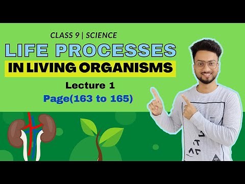 Life Process In Living Organisms Class 9 | Lecture 1 | Maharashtra State Board