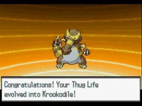 Shiny Krokorok Evolves into a Shiny Krookodile