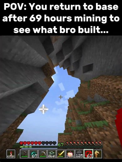 Bro, wtf is that 🤨🤨 #minecraft