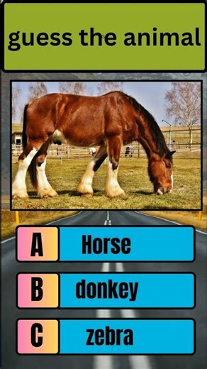 Guess the Animal 🐯 | Fun Quiz Game