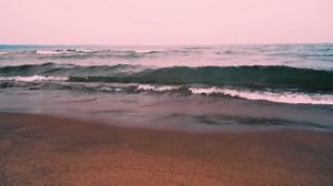 5.5K views · 52 reactions | Native brook trout will soon benefit from...