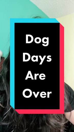 Interpreting the Meaning Behind Florence The Machine's 'Dog Days Are Over' | Dog Days Translation
