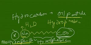 Can you draw the structure of the micelle that would be formed ... | Filo
