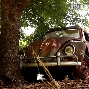 Found after 40 YEARS! #satisfying #restored #repair #revival #cars #turninrust | Turnin Rust