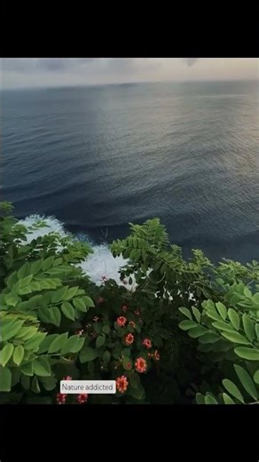 Feel the Earth • Love the Nature • Save the Planet 🌍❤️ ‪@natureaddicted‬