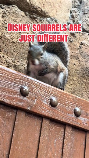 K-Mackey Mouse (@kmackeymouse)’s videos with Mission Impossible Theme (Movie Trailer Mix) - Dominik Hauser