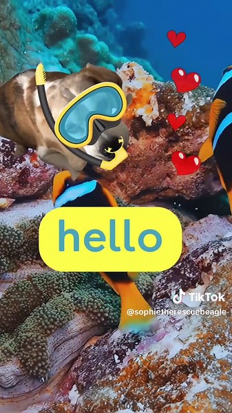 Scuba Diving Adventures with Beagle Dogs