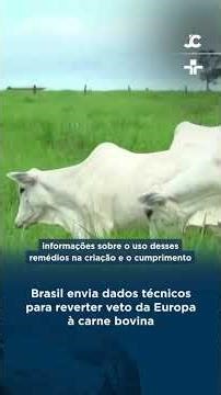 Brasil envia dados técnicos para reverter veto da Europa à carne bovina