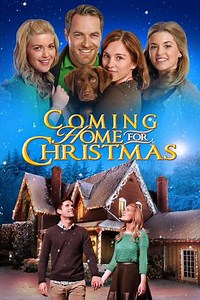 Coming Home for Christmas (2013) - Where to Watch