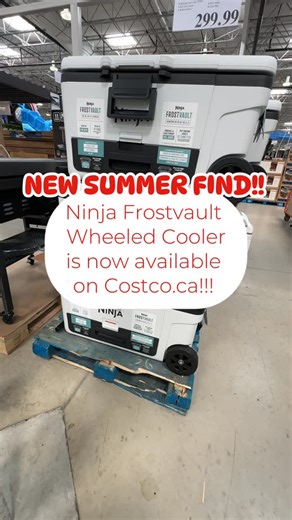 Costco Finds Canada on Instagram: "🚨 NEW SUMMER MUST HAVE FIND!! ‌ 🛒 Ninja Frostvault Wheeled Cooler from @ninjakitchencanada is now available at select Costco Canada locations and online at Costco.ca!! ‌ 🌟 Meet the Ninja FrostVault - the cooler with premium ice retention and fridge-temp dry storage!! ‌ Features: 🧊 65-quart capacity fits up to 97 cans (no ice) or 45 cans + ice 🧊 All-terrain wheels are ultra durable, puncture resistant, and all-weather capable 🧊 Highly durable construction 