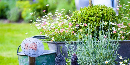 12 unusual planter ideas to add charm and character to your garden