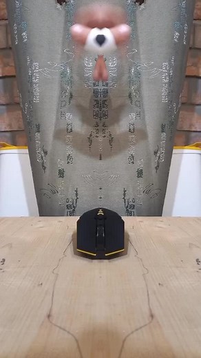 Unique Hand Movements with White Object Exploration