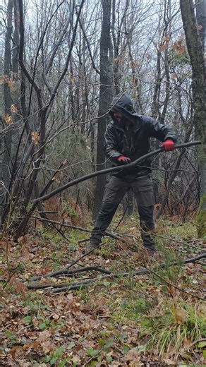 Camping in Heavy Rain - Dog Edition 🌧️ #bushcraft #camping #outdoors