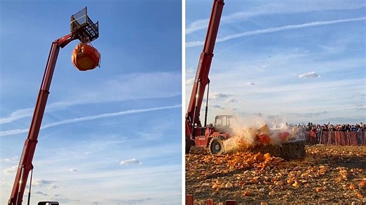 Smashing pumpkins! Giant pumpkin dropped by crane explodes at Cherry Crest Farm