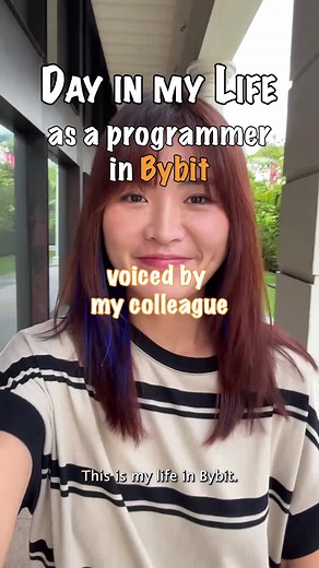 A Day in the Life of a Programmer: From Office to Home