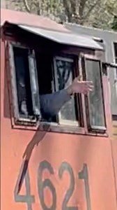 BNSF Horn + Wave! 👋 #train #railroad #bnsf #trainvideo